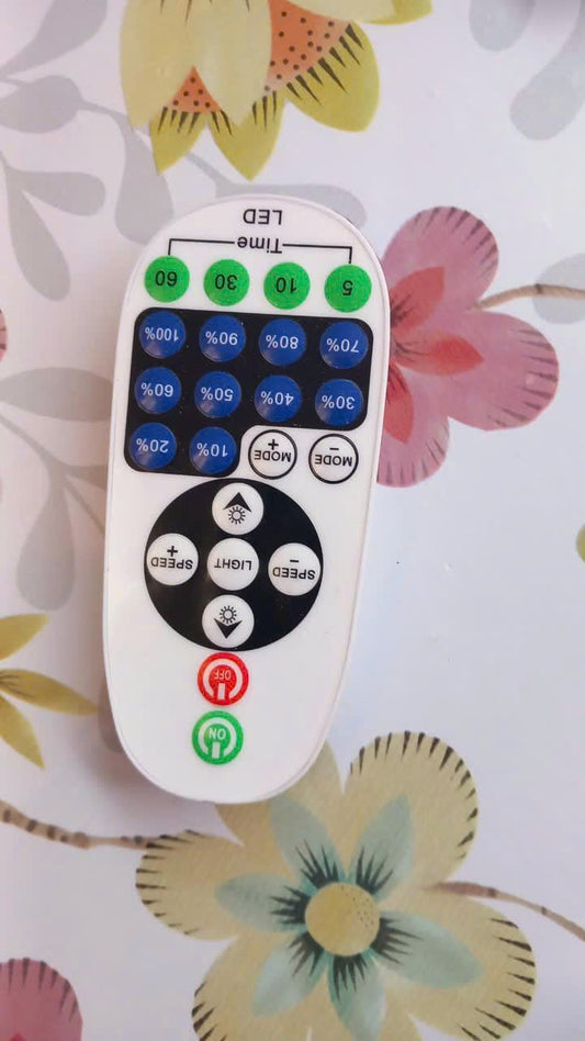 REMOTE | ONE Neon Sign