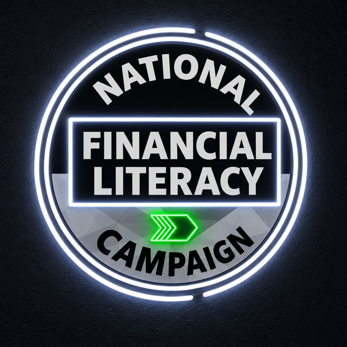 FINANCIAL LITERACY | LED Neon Sign