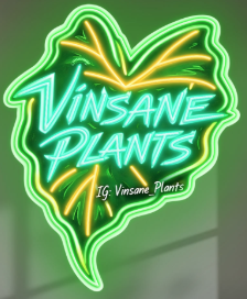 VISANE PLANTS | Led Neon Sign (express shipping)